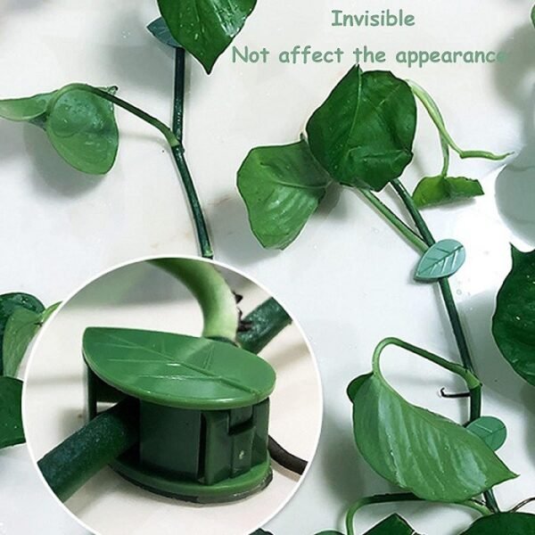 Sturdy Design: The clips are crafted with durable materials to ensure longevity and resilience in various weather conditions. Easy to Use: Designed for convenience, these clips are easy to install and remove. No complex tools or techniques needed – simply clip and secure. Versatile Application: Perfect for a variety of climbing plants such as creepers, vines, and small climbers. Use them in your garden, balcony, or terrace to enhance the vertical growth of your green companions.